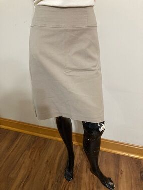 Short Tan, Lined Skirt
Item# SSsk2